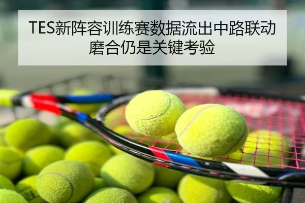 TES新阵容训练赛数据流出中路联动磨合仍是关键考验